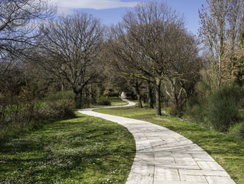 View of footpath in park