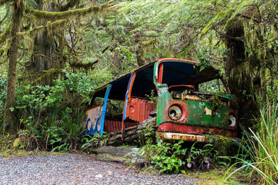 Abandoned van in forest