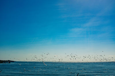 horizon