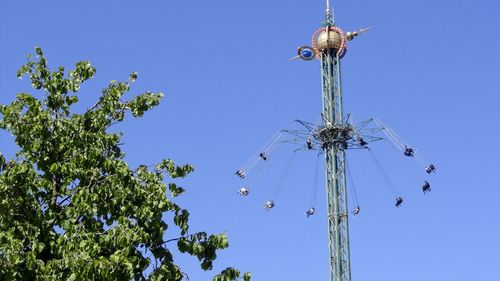 Low angle view of trees against clear sky