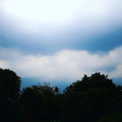 Low angle view of silhouette trees against sky