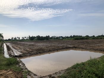 Scenic view of agricultural field against sky