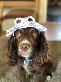 Close-up portrait of dog wearing hat