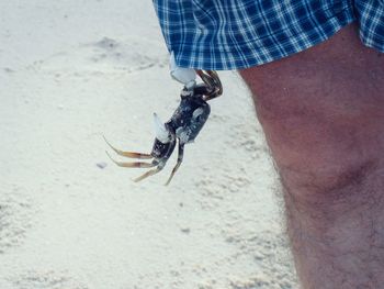 Low section of man standing on beach