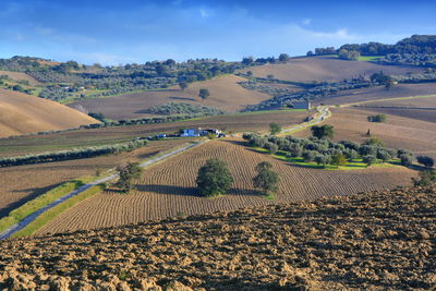 Scenic view of agricultural field against sky