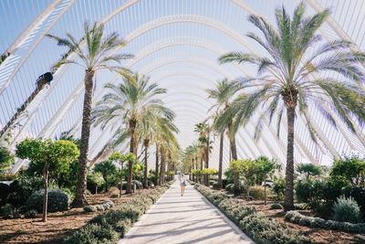 Rear view of woman walking towards walkway amidst palm trees