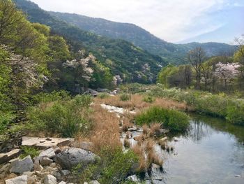 Scenic view of river by mountains against sky
