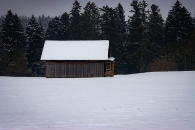 Snow covered field by trees in forest