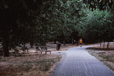 Rear view of man walking on footpath in park