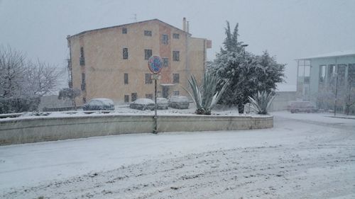 Snow covered houses by trees against sky