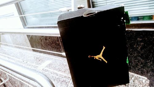 High angle view of horse in water