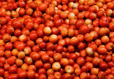 Full frame shot of tomatoes