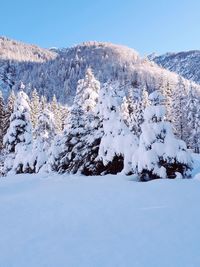 Scenic view of snowcapped mountain against sky