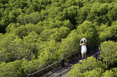 High angle view of woman standing on footbridge amidst trees