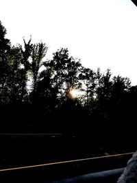 Silhouette trees by road against clear sky