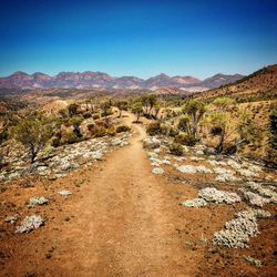 Scenic view of landscape against clear blue sky