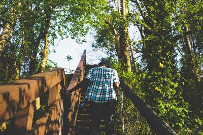 Rear view of man moving up on steps against trees