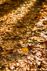 Surface level of water