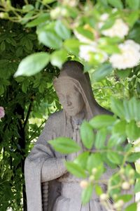 Maria magdalena statue amidst plants