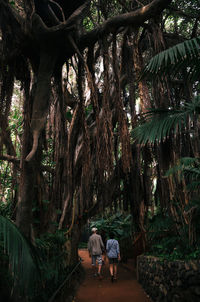 Rear view of woman amidst trees