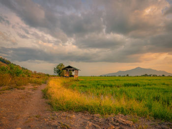 House on field against sky