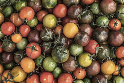 High angle view of various colorful tomatoes