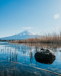 reflection