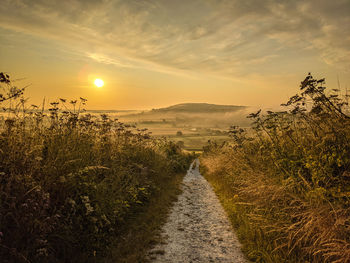 Footpath amidst field against sky during sunrise. amberley west sussex. 