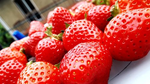 Close-up of strawberries