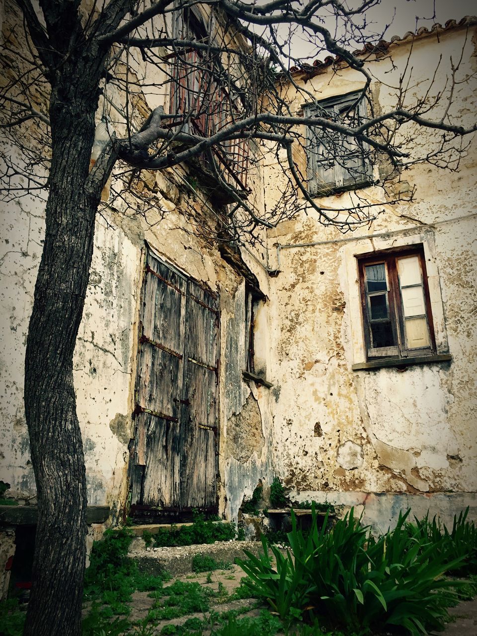 architecture, built structure, building exterior, abandoned, old, window, house, damaged, wall - building feature, weathered, obsolete, deterioration, tree, run-down, grass, day, plant, building, door, stone wall