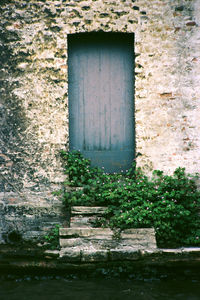 Close-up of door