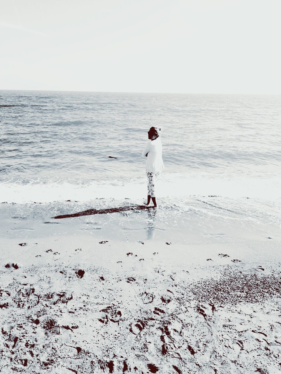 sea, horizon over water, water, beach, shore, full length, sand, leisure activity, clear sky, lifestyles, tranquility, tranquil scene, scenics, sky, dog, nature, standing, beauty in nature