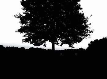 Silhouette trees against sky