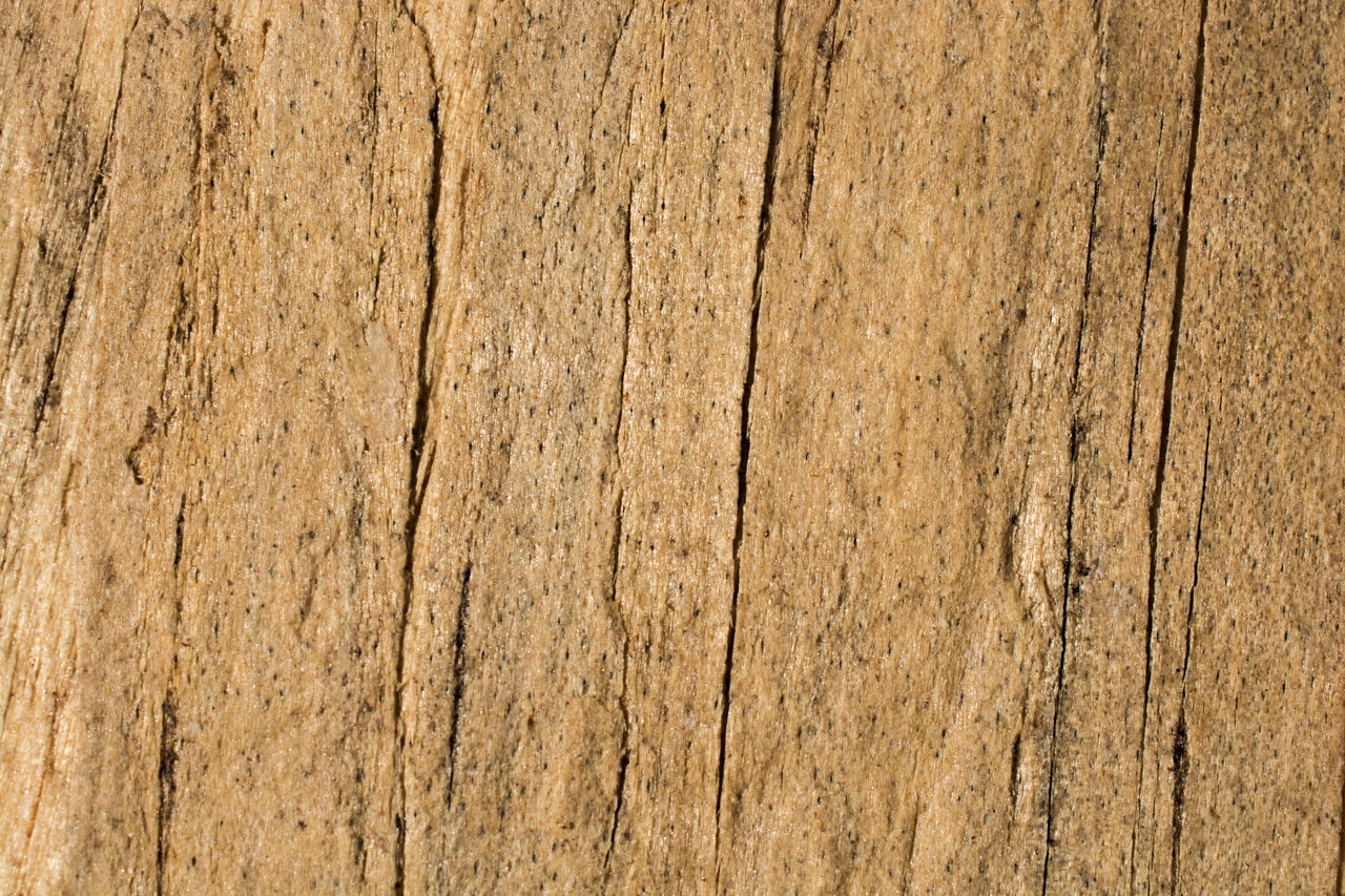 CLOSE-UP OF WEATHERED WOODEN WALL