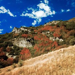 Scenic view of mountain against sky