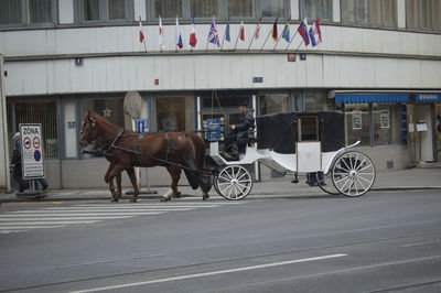 Horse cart on street