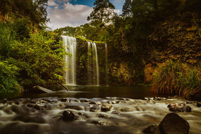 Scenic view of waterfall in forest