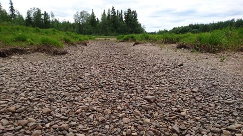 Close-up of pebbles on landscape against sky