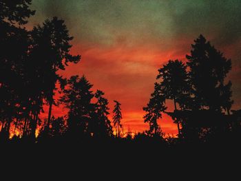 Silhouette trees in forest against orange sky