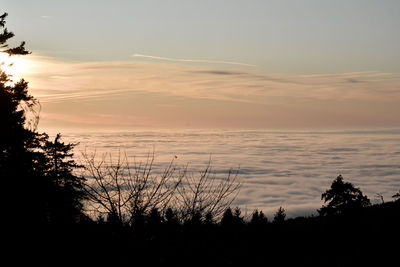 Scenic view of silhouette trees against sky at sunset