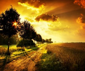 Scenic view of field against sky at sunset