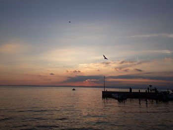 Silhouette birds flying over sea against sunset sky