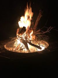 Close-up of bonfire at night