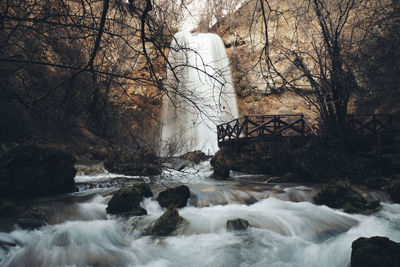 Scenic view of waterfall in forest