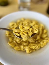 Close-up of food served in plate