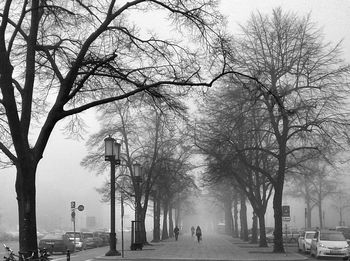 Road passing through bare trees