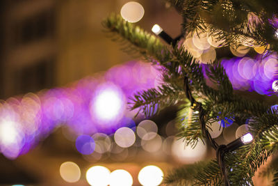 Close-up of illuminated christmas tree at night