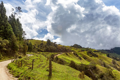 Scenic view of field against sky