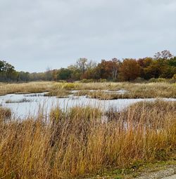 Scenic view of lake against sky