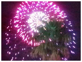 Low angle view of firework display at night